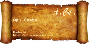 Ágh Csaba névjegykártya
